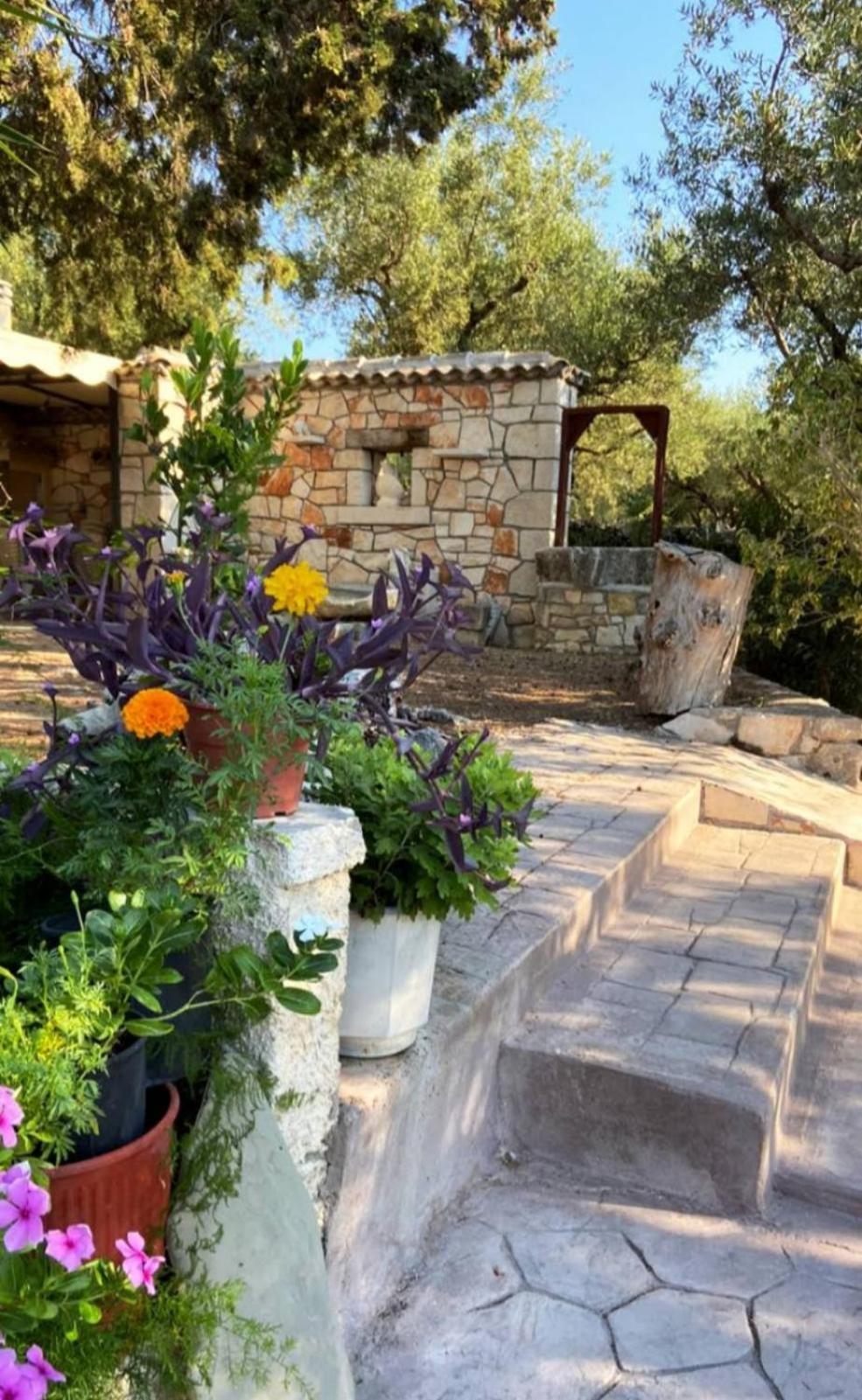 Apartment Odysseas Lithakia (Zakynthos)